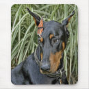 Suche nach pinscher mousepads Jede person
