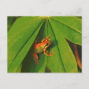 Suche nach discovery postkarten Horizontal