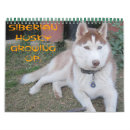 Suche nach husky kalender Sibirisch
