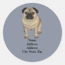 Suche nach puggles aufkleber Welpe