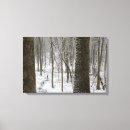 Suche nach winterwald leinwandbilder Für alle