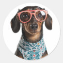 Suche nach dachshund aufkleber Jede person