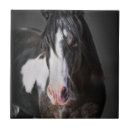 Suche nach farbe fliesen Tiere