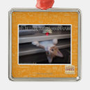 Suche nach ram ornamente Ich kann habe cheezburger