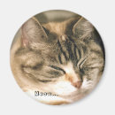 Suche nach meow magnete Spaß