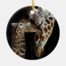 Suche nach zoo ornamente Liebe