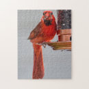 Suche nach roter vogel puzzle Geflügel