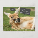 Suche nach australien weihnachten postkarten Känguru
