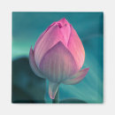 Suche nach botanik blatt magnete Blüte