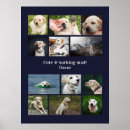 Suche nach haustierandenken Hunde
