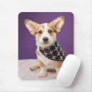 Suche nach skull bandana Corgi