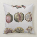 Suche nach johannes kissen Jahrhundert