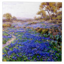 Suche nach san fliesen Vereinte staaten