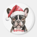 Suche nach french bulldog magnete Franchise