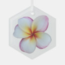Suche nach frangipani ornamente Hawaii