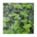 Suche nach botanical fliesen Pflanze