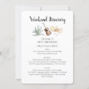 Suche nach mexiko einladungen Gäste