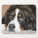 Suche nach riesen mousepads Tier