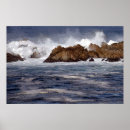 Suche nach monterey poster Natur