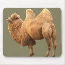 Suche nach buckel mousepads Jede person