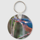 Suche nach eisvogel accessoires Wildtiere