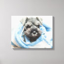 Suche nach teile poster leinwandbilder Farbbild