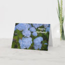 Suche nach lila hydrangeas karten Blumen