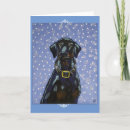 Suche nach doberman karten Hund