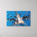 Suche nach gesicht leinwandbilder Tiere