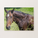 Suche nach kastanien puzzle Rätsel