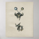 Suche nach menschliches auge poster Anatomisch