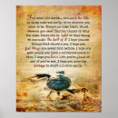 Suche nach schildkröten poster Für sie