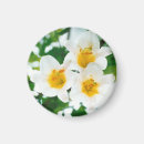 Suche nach symbol der liebe magnete Blumenreich