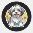 Suche nach havanese aufkleber Niedlich