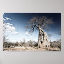 Suche nach national park poster Baum