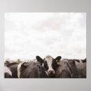 Suche nach bewölkter himmel poster Landwirtschaft