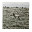 Suche nach elk fliesen Natur