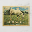 Suche nach horse postkarten Texas