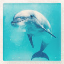 Suche nach delphine untersetzer Niedlich