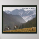 Suche nach zwei tiere poster Natur