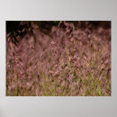 Suche nach das gras poster Sommer