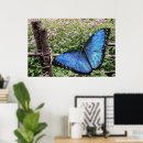 Suche nach exotische schmetterlinge poster Sommer