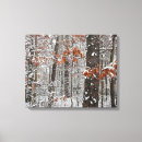 Suche nach eiche leinwandbilder Winter