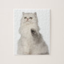Suche nach katzenartig puzzle Katzenliebhaber