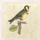 Suche nach grüner hintergrund untersetzer Vogel