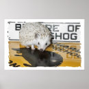 Suche nach igel poster Natur