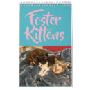Suche nach kätzchen ich kalender Niedlich