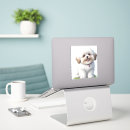 Suche nach shih tzu hund aufkleber Schicken