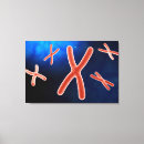 Suche nach biochemie leinwandbilder 3d