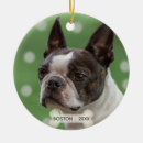 Suche nach niedlicher boston terrier ornamente Für alle